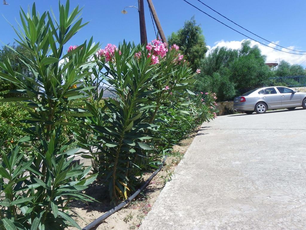 Ξενοδοχείο Θάλασσα Ερατεινή Εξωτερικό φωτογραφία