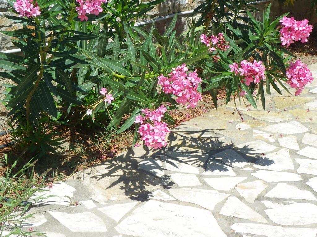 Ξενοδοχείο Θάλασσα Ερατεινή Δωμάτιο φωτογραφία